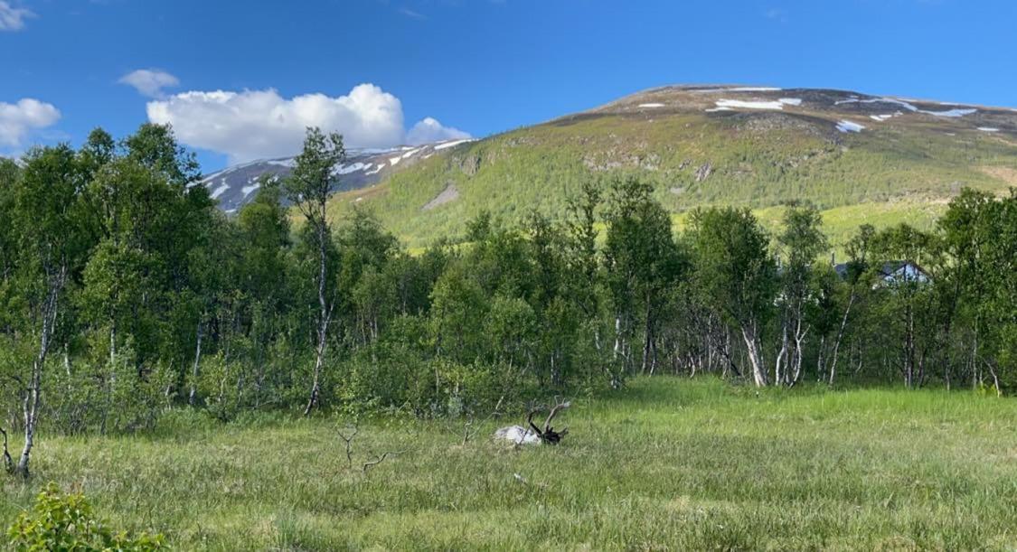 Great Villa With Amazing View Tromso Bagian luar foto