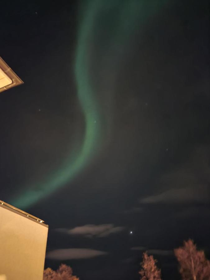 Great Villa With Amazing View Tromso Bagian luar foto